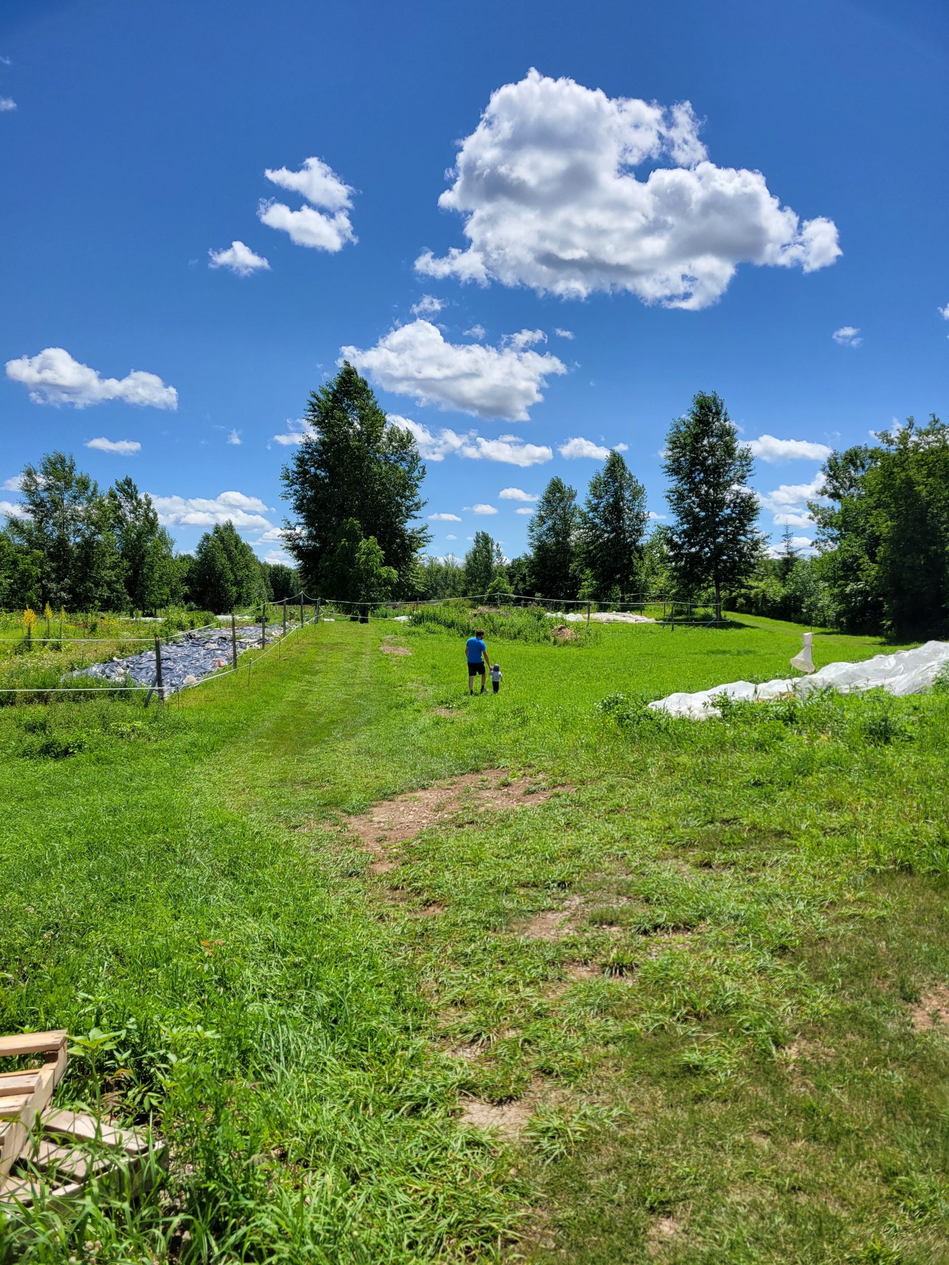Visite de la ferme en famille